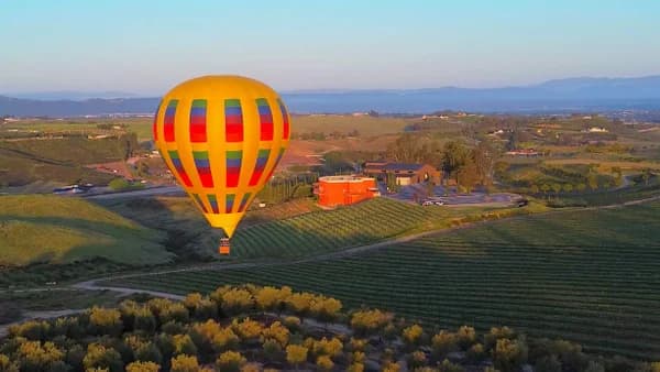 Hot Air Balloon and Wine Tasting