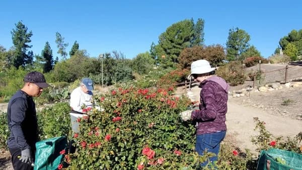 Pollinator Garden WORKING WORKSHOP