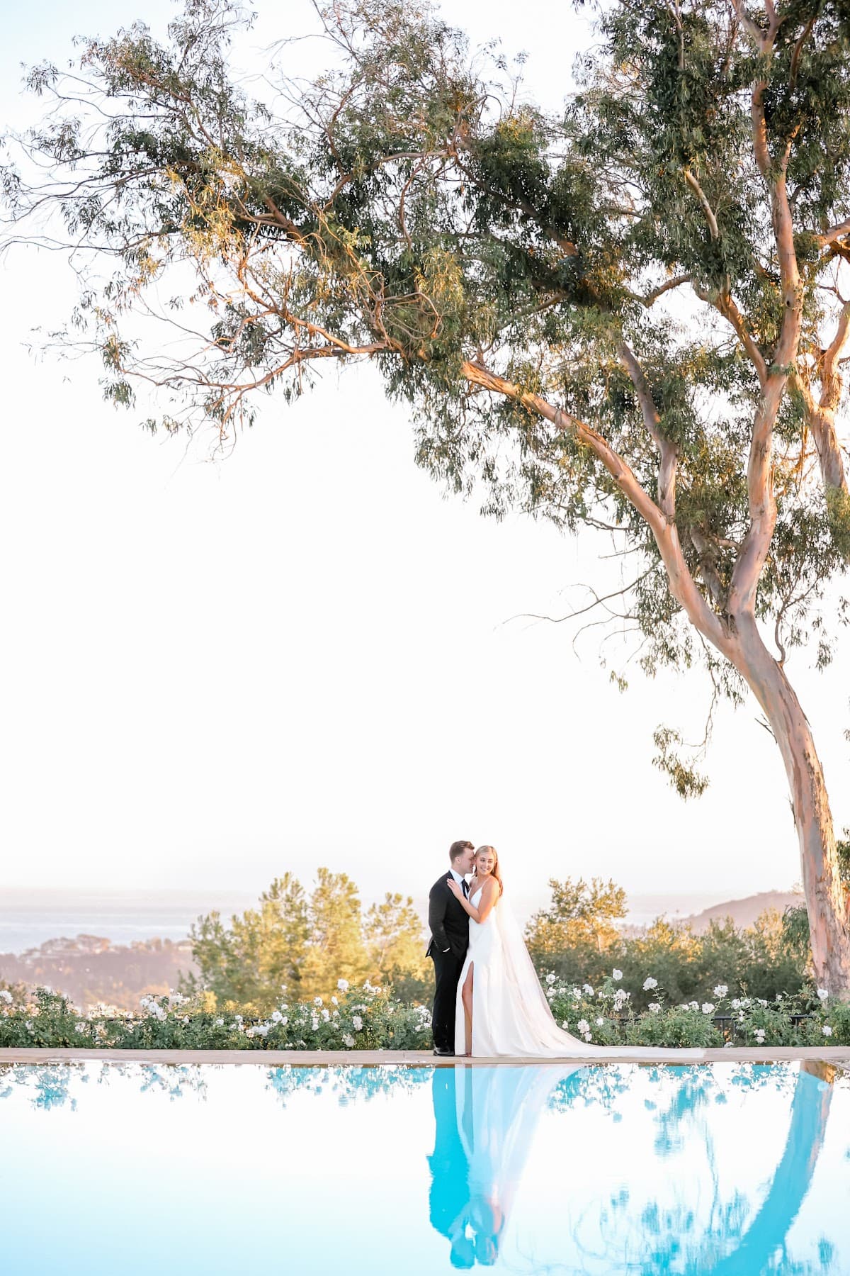 Alicia Q Photography