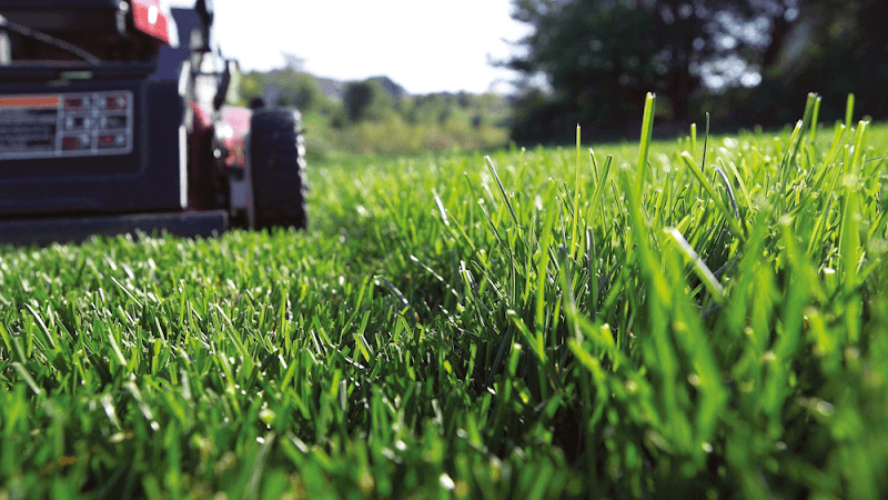 Diamond lawncare