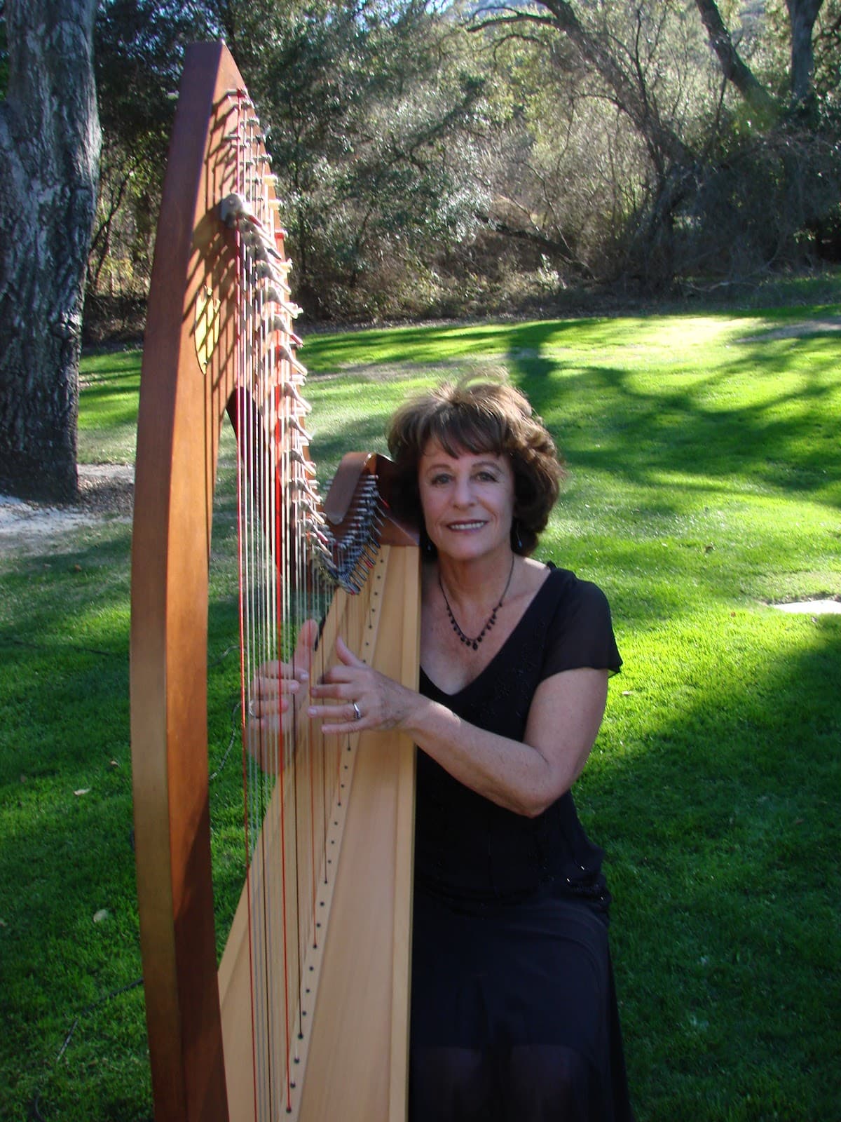 Harpist from the Heart