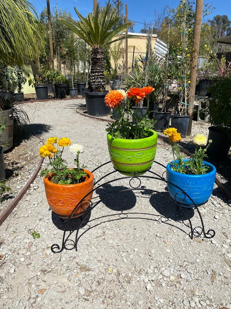 MEM Nursery