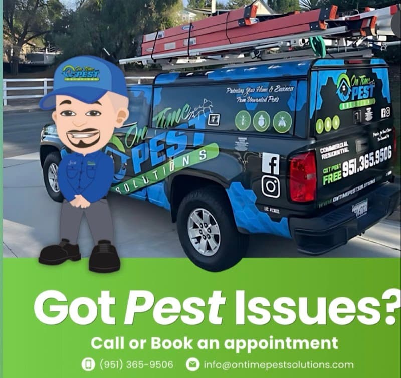 On Time Pest Solutions