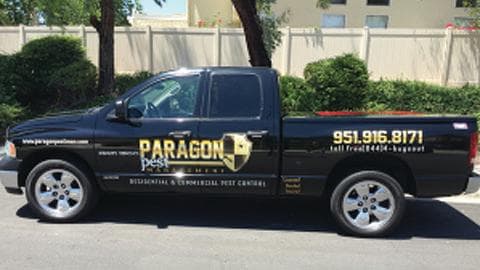 Paragon Pest Management