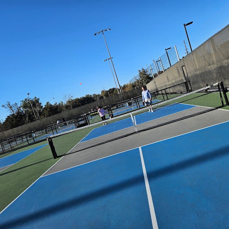 The Pit Pickleball