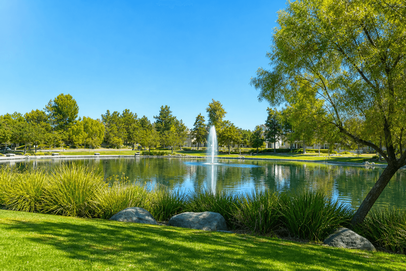 Harveston lake algae bloom at Temecula park