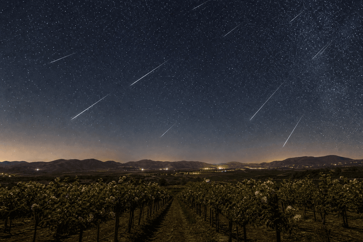 Perseid meteors streaking across a dark night sky above Temecula Valley vineyards.